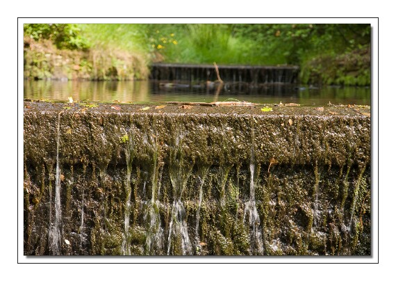IMG_7460 5D
